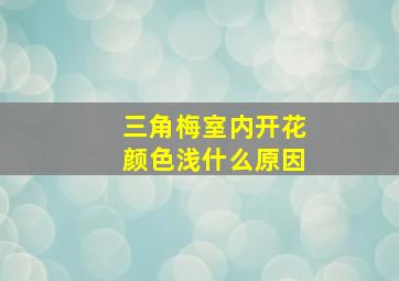 三角梅室内开花颜色浅什么原因