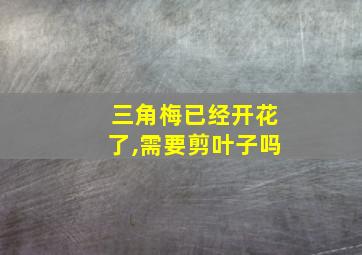 三角梅已经开花了,需要剪叶子吗