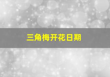 三角梅开花日期