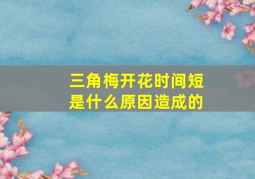 三角梅开花时间短是什么原因造成的