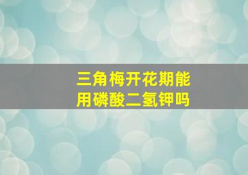 三角梅开花期能用磷酸二氢钾吗