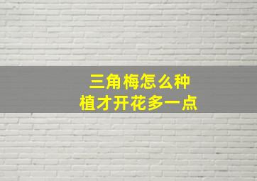 三角梅怎么种植才开花多一点