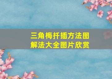 三角梅扦插方法图解法大全图片欣赏