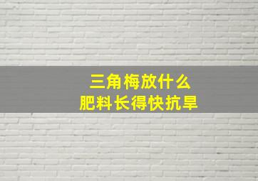 三角梅放什么肥料长得快抗旱