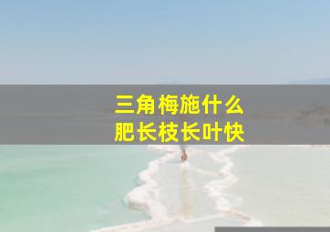 三角梅施什么肥长枝长叶快