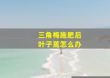 三角梅施肥后叶子蔫怎么办