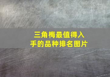 三角梅最值得入手的品种排名图片