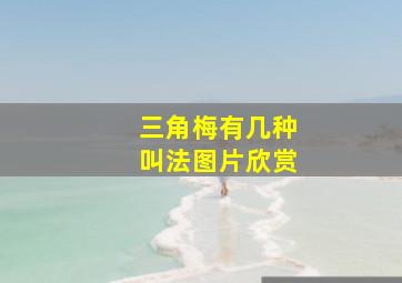 三角梅有几种叫法图片欣赏