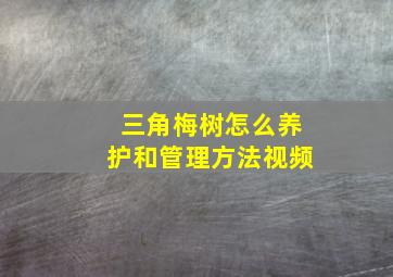 三角梅树怎么养护和管理方法视频