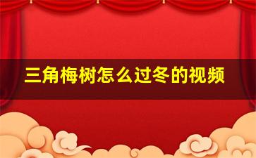 三角梅树怎么过冬的视频