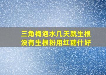 三角梅泡水几天就生根没有生根粉用红糖什好