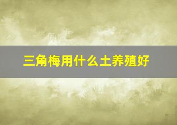 三角梅用什么土养殖好