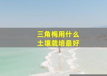 三角梅用什么土壤栽培最好