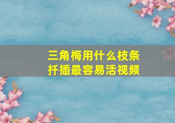 三角梅用什么枝条扦插最容易活视频