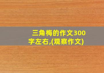 三角梅的作文300字左右,(观察作文)