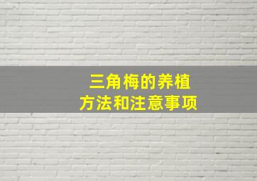 三角梅的养植方法和注意事项