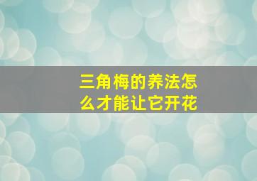 三角梅的养法怎么才能让它开花