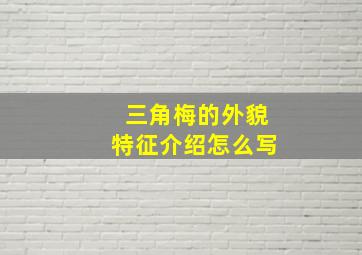 三角梅的外貌特征介绍怎么写