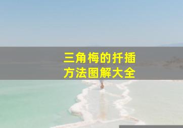 三角梅的扦插方法图解大全