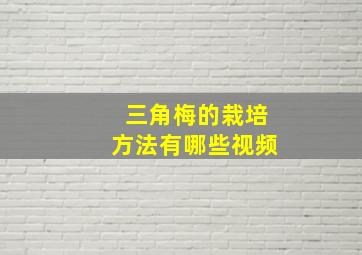 三角梅的栽培方法有哪些视频