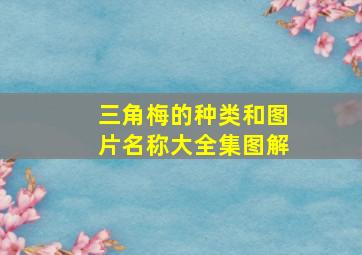 三角梅的种类和图片名称大全集图解