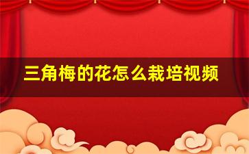 三角梅的花怎么栽培视频