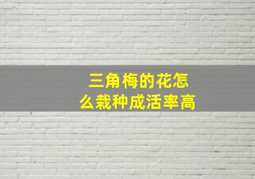 三角梅的花怎么栽种成活率高