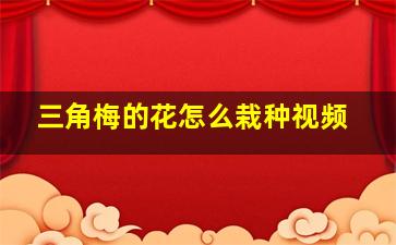 三角梅的花怎么栽种视频