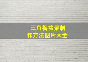 三角梅盆景制作方法图片大全