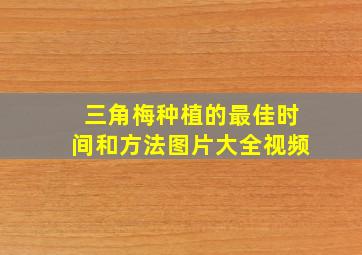 三角梅种植的最佳时间和方法图片大全视频