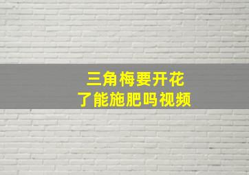 三角梅要开花了能施肥吗视频