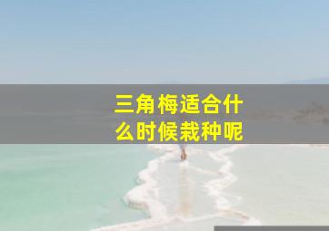 三角梅适合什么时候栽种呢