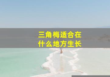 三角梅适合在什么地方生长