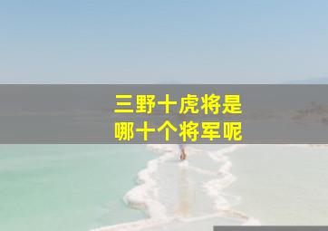 三野十虎将是哪十个将军呢