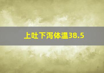 上吐下泻体温38.5