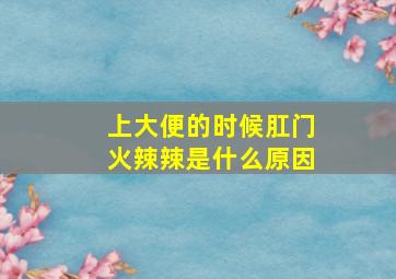 上大便的时候肛门火辣辣是什么原因