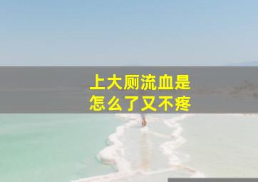 上大厕流血是怎么了又不疼