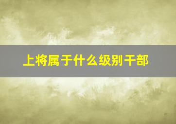 上将属于什么级别干部