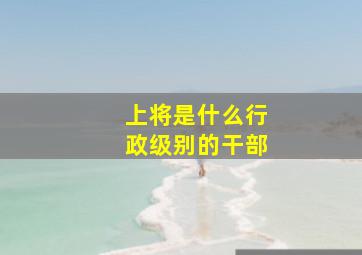 上将是什么行政级别的干部