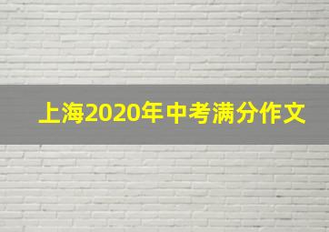 上海2020年中考满分作文