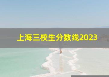 上海三校生分数线2023