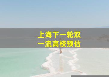 上海下一轮双一流高校预估