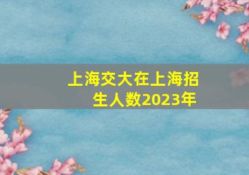 上海交大在上海招生人数2023年