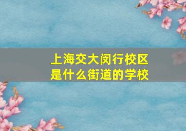 上海交大闵行校区是什么街道的学校