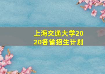 上海交通大学2020各省招生计划