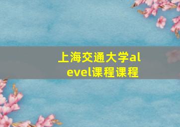 上海交通大学alevel课程课程