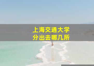 上海交通大学分出去哪几所