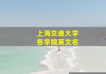 上海交通大学各学院英文名