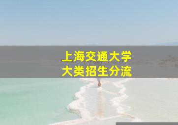 上海交通大学大类招生分流