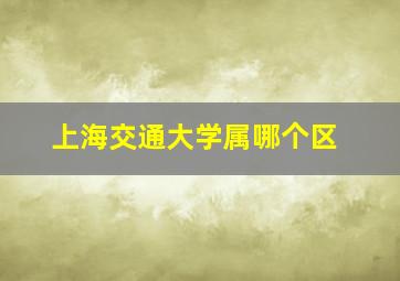 上海交通大学属哪个区